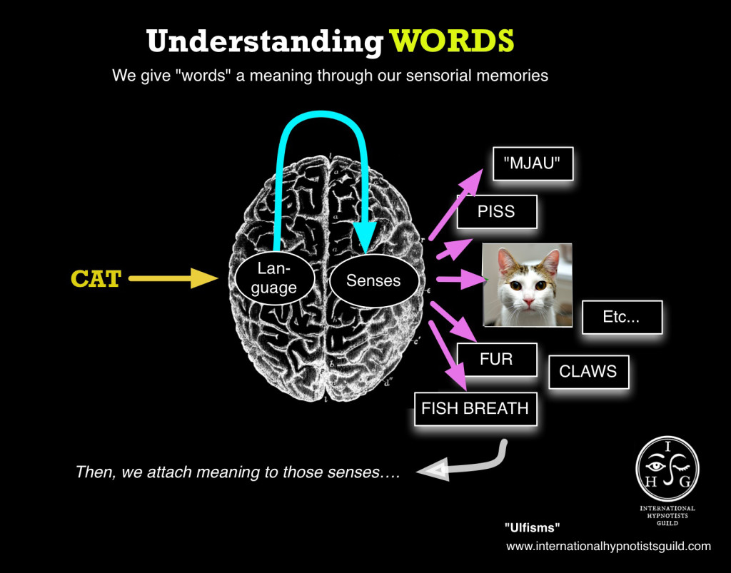 IHG-Images-Understanding-Words-b