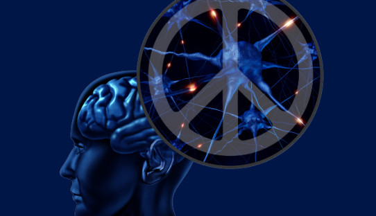 brain-PEACE